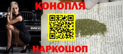 шишки Аргун