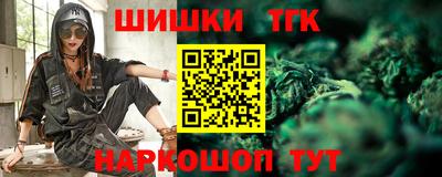шишки Аргун