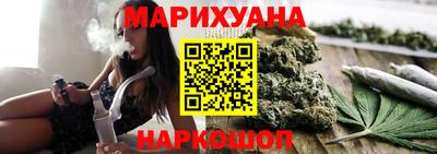 шишки Аргун