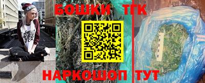 шишки Аргун